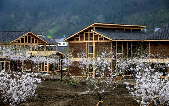 花花世界 香飘五峰