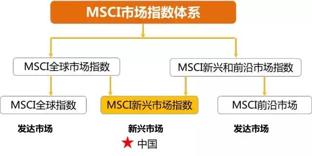 大家都在说的MSCI，是啥？有哪些股票？