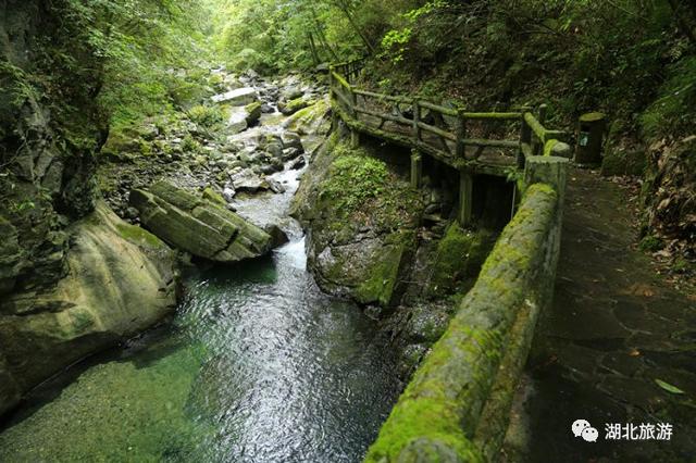 每日一景｜走进后河天门峡景区