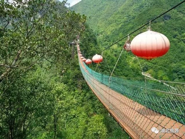 每日一景｜走进后河天门峡景区