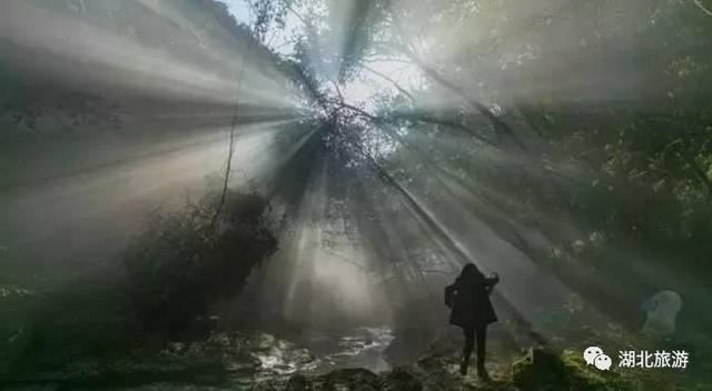 每日一景｜走进后河天门峡景区