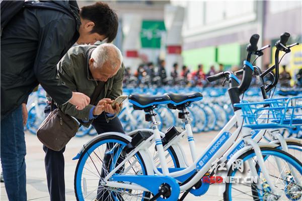 哈罗单车今起在衡阳正式开启“芝麻信用免押骑行”