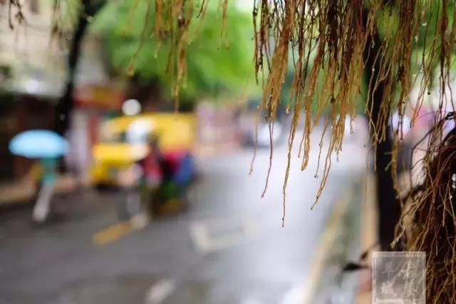 越秀｜内街百灵路，竟“藏”着百求百灵的“药王”？