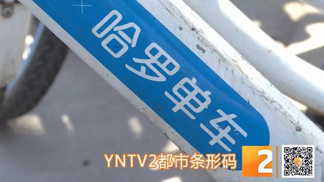 传言哈罗单车要涨价了，昆明什么时候涨，涨多少？官方回复了