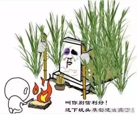 80亿砸盘，股王差点跌停！