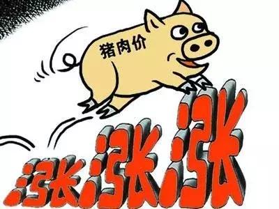 看好猪肉持续涨价，几大猪肉上市公司屯钱扩产能