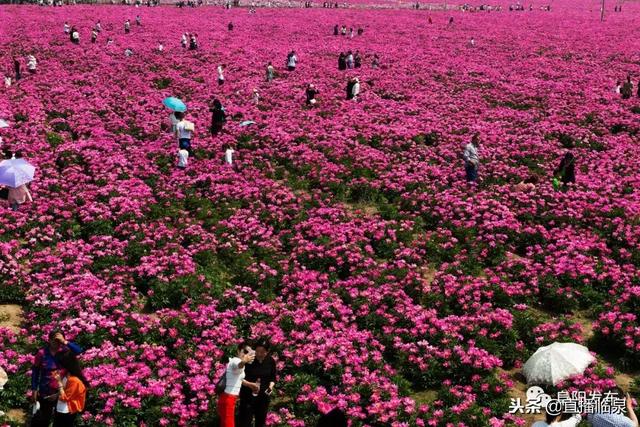 图说阜阳：大美阜阳 文明之城