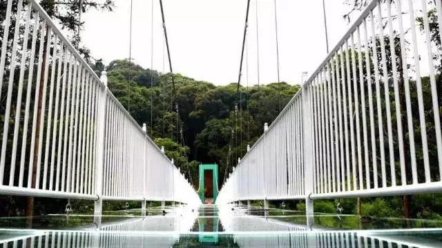 1417米！广东最高海拔玻璃桥！200层楼高！你敢去吗？