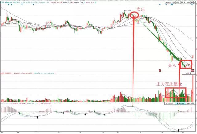千万本股票书籍提取的MACD精华：买小卖小，缩头缩脚，黄金8字，字字精深