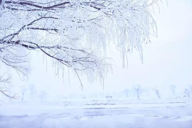 中国冬天最美的雪国列车K1227，一路向北，开往童话之地！