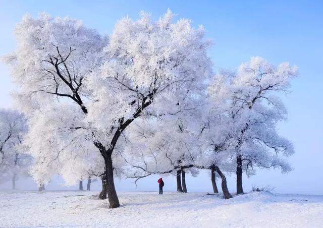 中国冬天最美的雪国列车K1227，一路向北，开往童话之地！