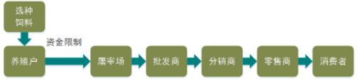 网易味央、乐农之家掀起前所未有的全民养猪热潮