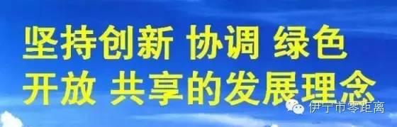 好消息！伊宁市民办理公租房手续及购房购车贷款都无需出具单身证明了！