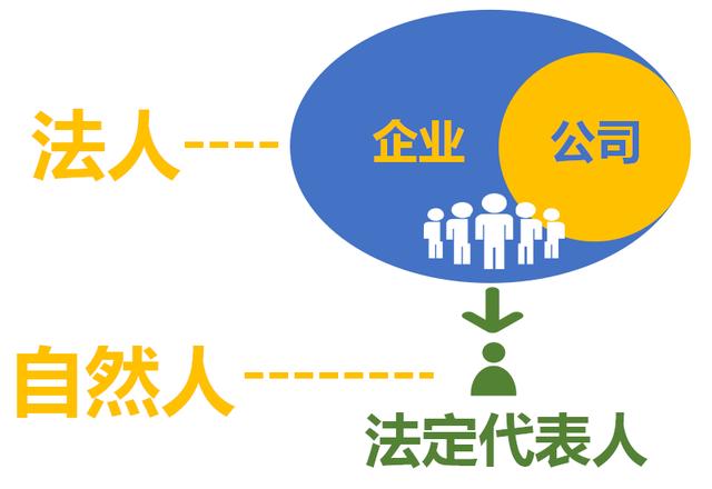 公司、个体户、分公司、子公司、有限公司……的区别，今天统一回复！