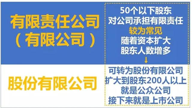 公司、个体户、分公司、子公司、有限公司……的区别，今天统一回复！