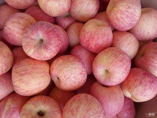 栖霞为什么能种出这么好吃的苹果！