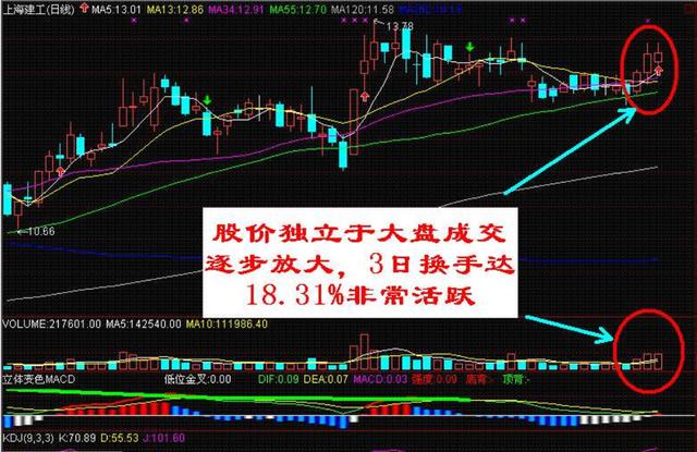 中国股市最牛黑天鹅，25万手卖单封跌停，10万散户被坑杀