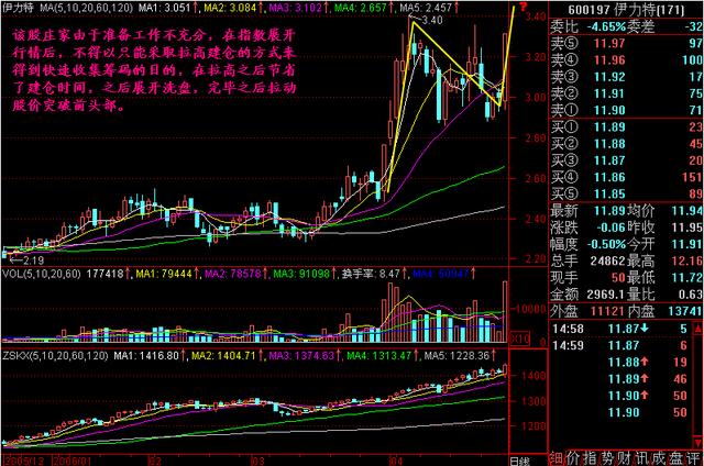 中国股市最牛黑天鹅，25万手卖单封跌停，10万散户被坑杀