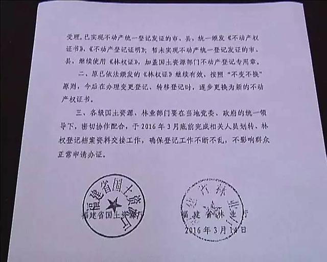 记者追踪：眼睁睁看着十万棵成材桉树冻死山场...林权证，我还要等多久？