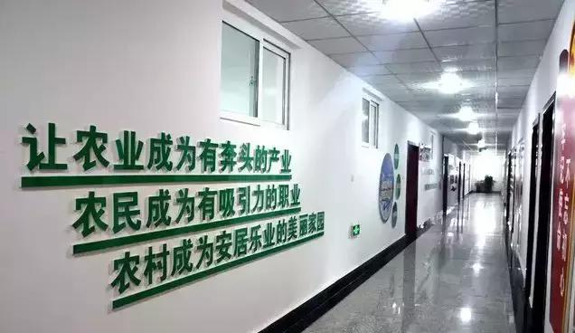 清水县盛农农业产业发展有限责任公司百万薪金聘经理