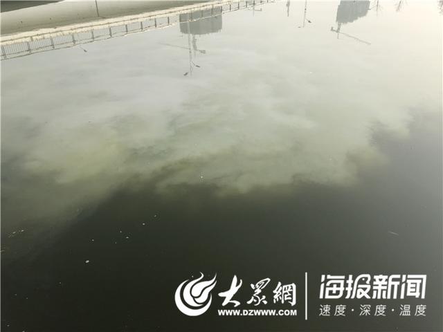 赵王河河水污染多日仍未解决 治理报告审批中