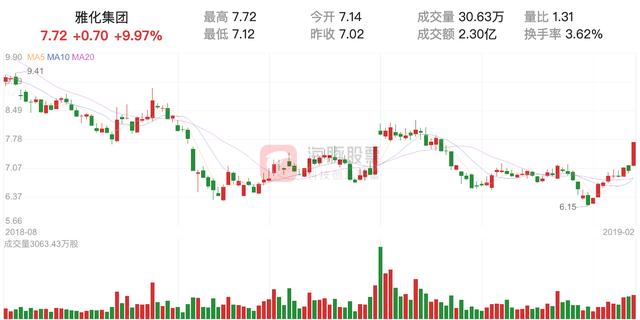 【涨停股复盘】雅化集团今日涨停，主力净流入4453.60万元