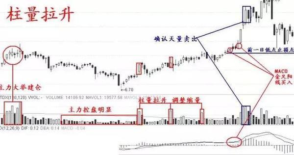 每天都有涨停板：为什么你却选不到？怎样选到第二天涨停的好股票