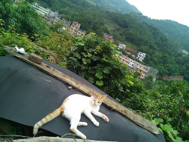 茂名信宜乡村风情之新宝-合水-白龙河风光