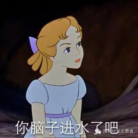 好消息：北京社保网申数字证书实行免费