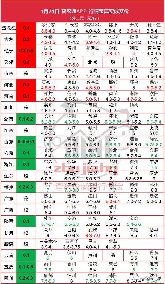 21日 东北猪价继续涨，华北也见红，猪价拉开反弹序幕？