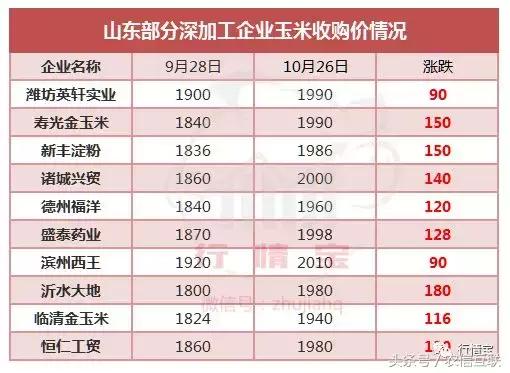 听说玉米大范围涨价？为啥农户卖粮几毛、养殖户买粮一块多？