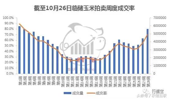 听说玉米大范围涨价？为啥农户卖粮几毛、养殖户买粮一块多？