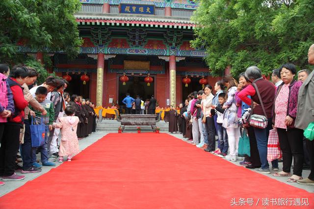 五月，槐花飘香的青州泰和寺