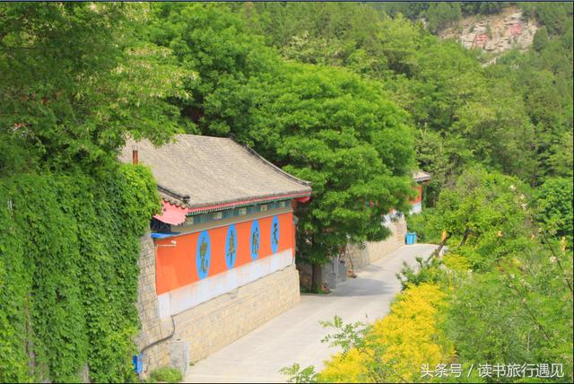 五月，槐花飘香的青州泰和寺