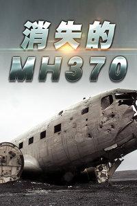 马航MH370最终调查报告来了，四年前的真相究竟是什么！