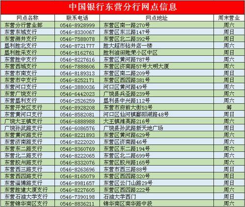 中国银行东营分行开发区支行试营业