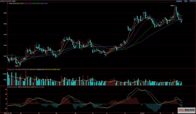 3.16最新玉米价格走势分析 玉米多少钱一斤？