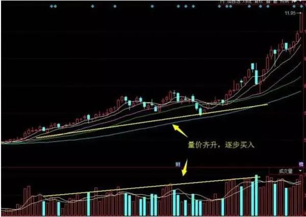 散户生存铁律：“熊市买慢牛，牛市买龙头”10字法则，牢记于心，四季不愁！