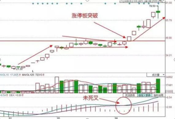 深藏不露的低调打板族，15年来坚持炒股“一日游”，专狙击涨停板，天天10个点，稳如泰山