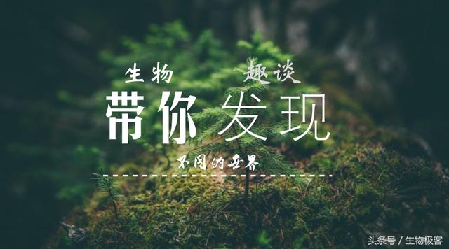 Nature最新发现：原来肥胖是由NK细胞数量增加引起的