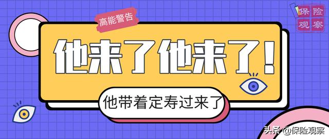 阳光人寿的这款保险，再次刷新了定期寿险的地板价