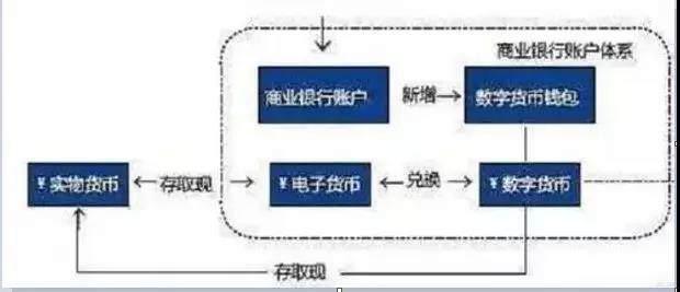 新版人民币为何没有100元与5元？