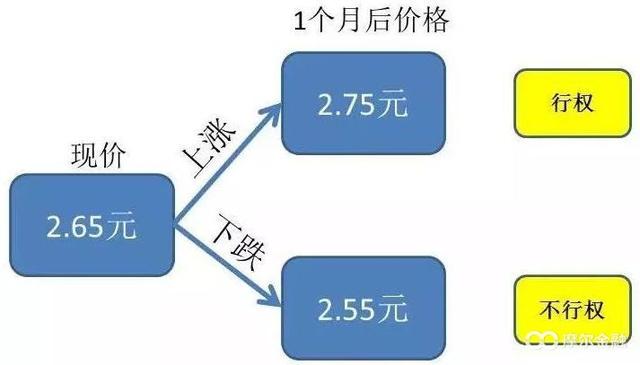 7天暴涨100倍，究竟是什么标的？