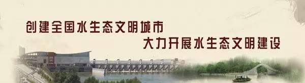 点赞！乌海14个社区 4个志愿服务组织 107个单位受表彰