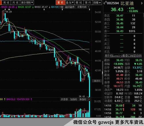 比亚迪股票狂跌45% 股神巴菲特并未松手