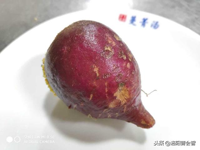 「汤城洛阳」舌尖上的家乡味道：偃师特色蔓菁（mán jing）汤