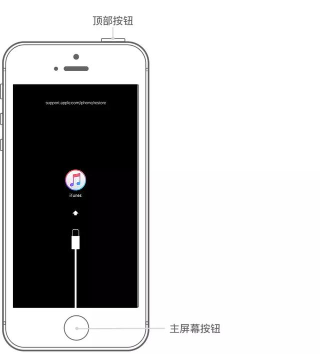 iPhone密码忘了，或设备已停用怎么办？