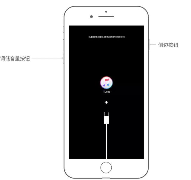 iPhone密码忘了，或设备已停用怎么办？