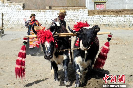 农行西藏分行涉农贷款余额突破400亿元