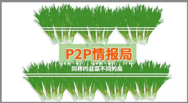 爱投资4000位出借人的“非主流”维权之路